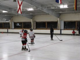 hockey2012 - IMG_5057-1194x896.jpg