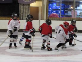 hockey2012 - IMG_5058-1194x896.jpg