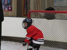 hockey2012 - IMG_5059-1194x896.jpg