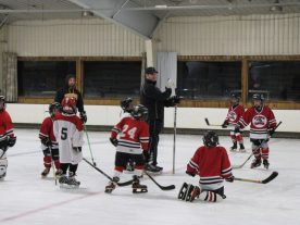 hockey2012 - IMG_5062-1194x896.jpg