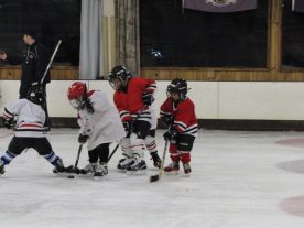 hockey2012 - IMG_5064-1194x896.jpg