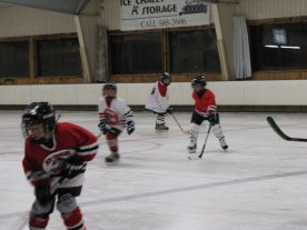 hockey2012 - IMG_5066-1194x896.jpg