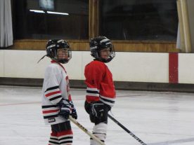 hockey2012 - IMG_5068-1194x896.jpg