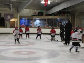 hockey2012 - IMG_5069-1194x896.jpg