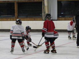hockey2012 - IMG_5070-1194x896.jpg