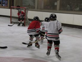 hockey2012 - IMG_5072-1194x896.jpg