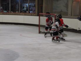 hockey2012 - IMG_5079-1194x896.jpg