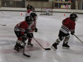 hockey2012 - IMG_5088-1194x896.jpg