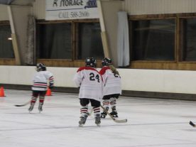 hockey2012 - IMG_5091-1194x896.jpg