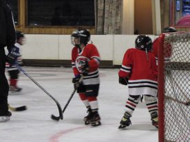 hockey2012 - IMG_5092-1194x896.jpg
