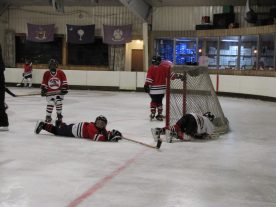 hockey2012 - IMG_5096-1194x896.jpg
