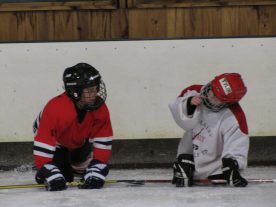 hockey2012 - IMG_5109-1194x896.jpg
