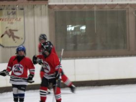 hockey2012 - IMG_5110-1194x896.jpg