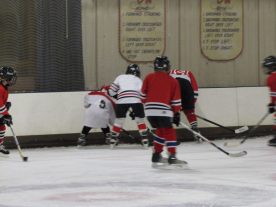 hockey2012 - IMG_5126-1194x896.jpg