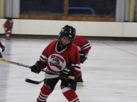 hockey2012 - IMG_5148-1194x896.jpg