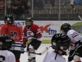 hockey2012 - IMG_5218-1194x896.jpg