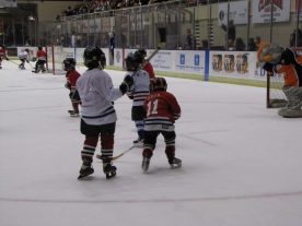 hockey2012 - IMG_5230-1194x896.jpg