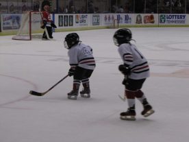 hockey2012 - IMG_5236-1194x896.jpg