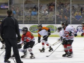 hockey2012 - IMG_5237-1194x896.jpg