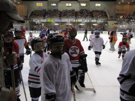 hockey2012 - IMG_5245-1194x896.jpg