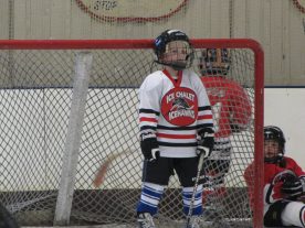 hockey2012 - IMG_5284-1194x896.jpg