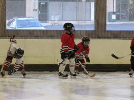 hockey2012 - IMG_5285-1194x896.jpg